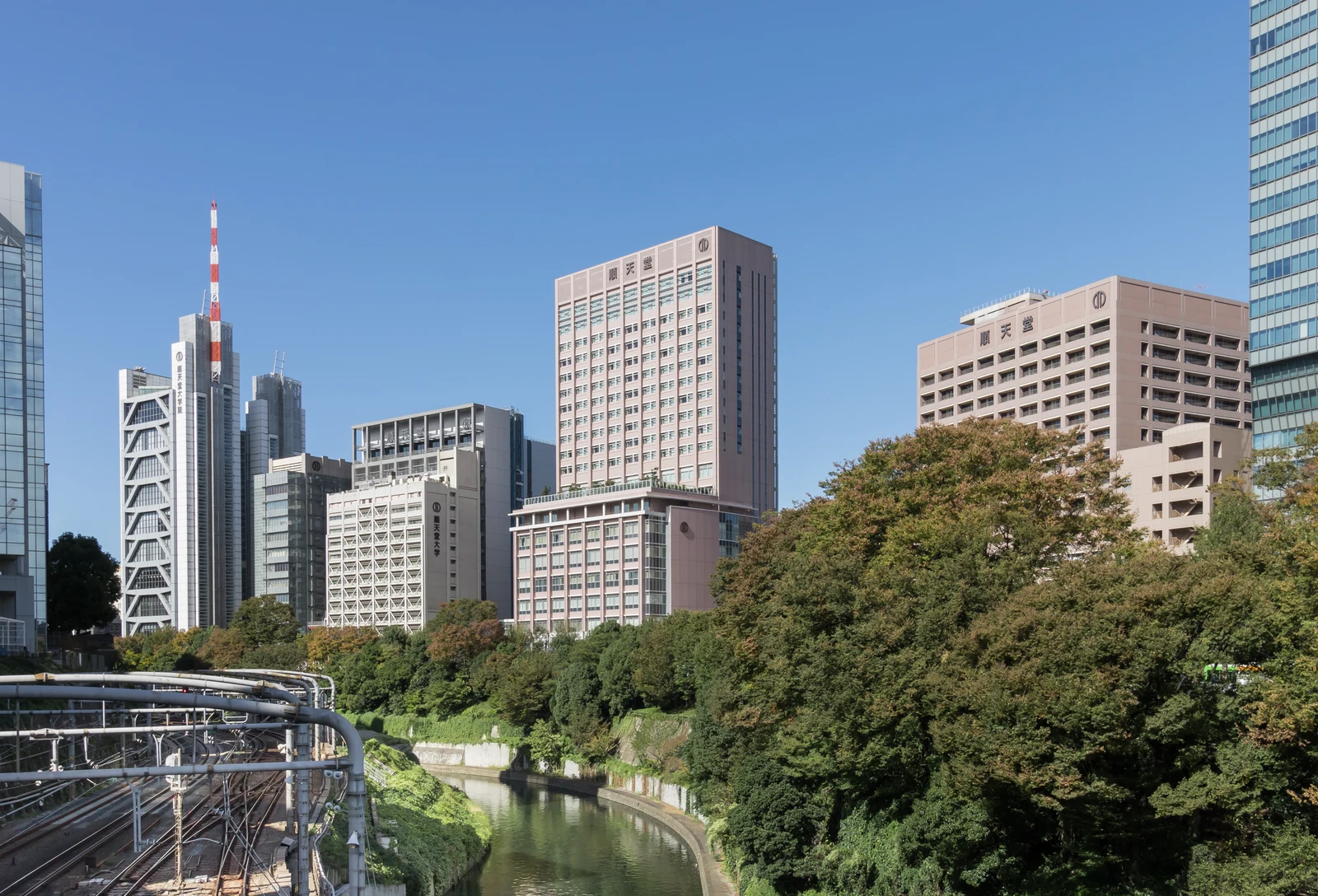 順天堂大学のキャンパス